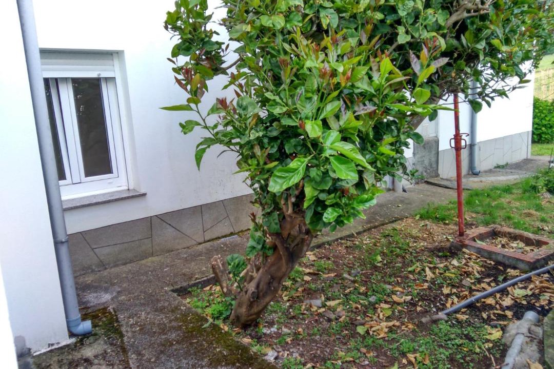 Photo of Others in Vilarrube