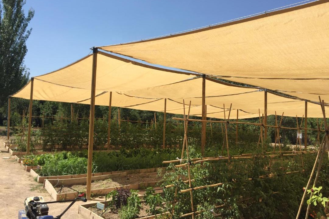 Photo of Outdoor in Bullas