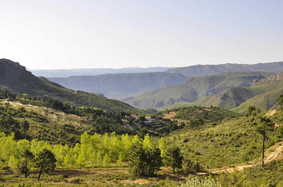 Photo of Others in Yeste