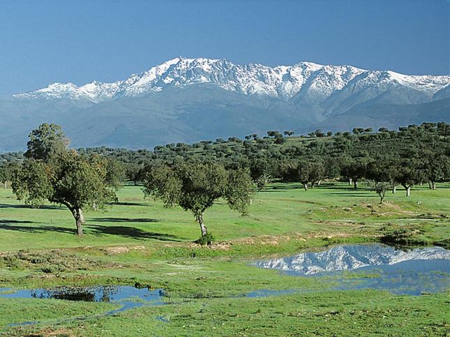 Photo of Outdoor in Valverde de la Vera
