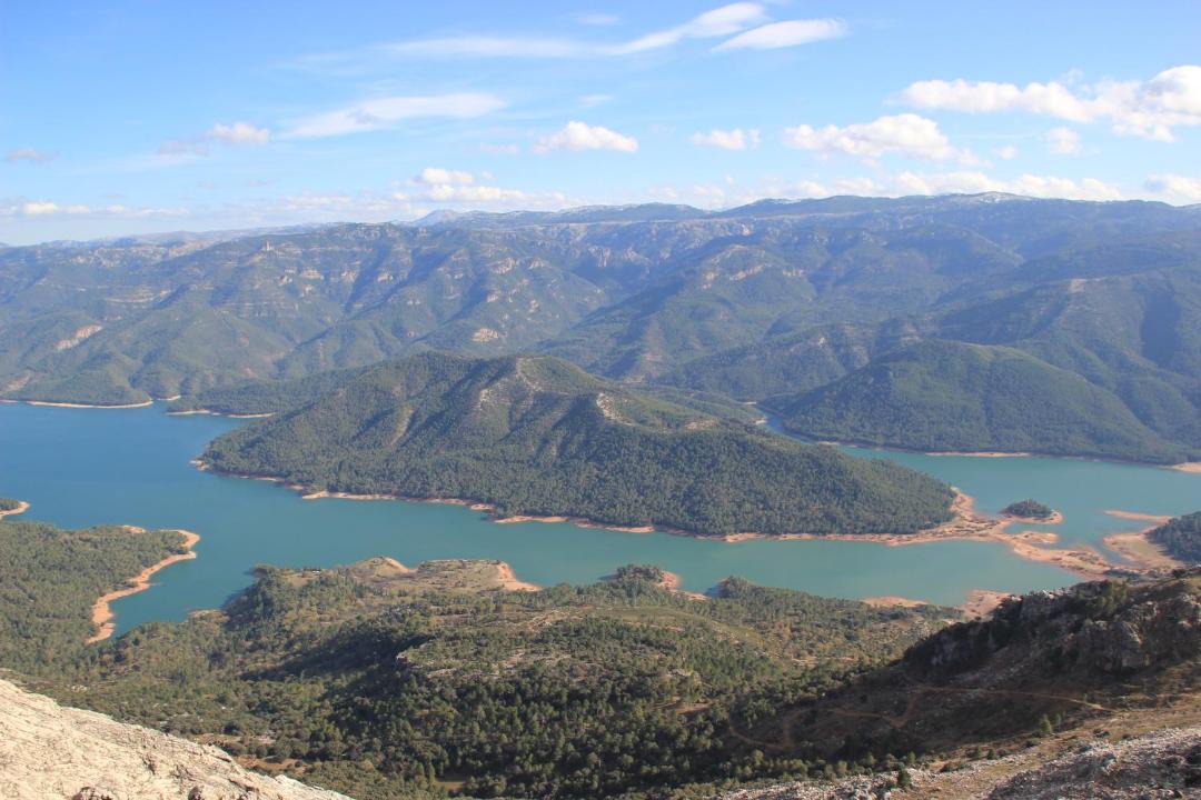 Photo of Others in Coto Rios
