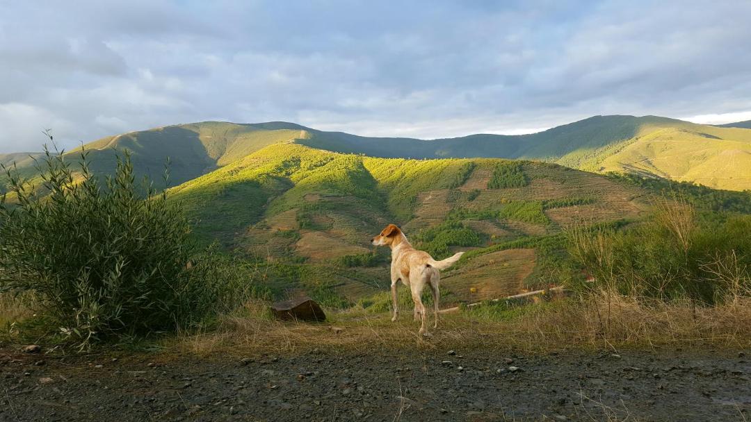 Photo of Others in Caminomorisco