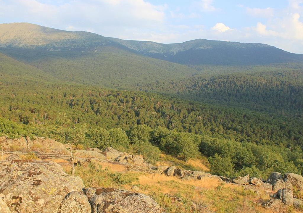 Photo of Outdoor in La Pradera de Navalhorno