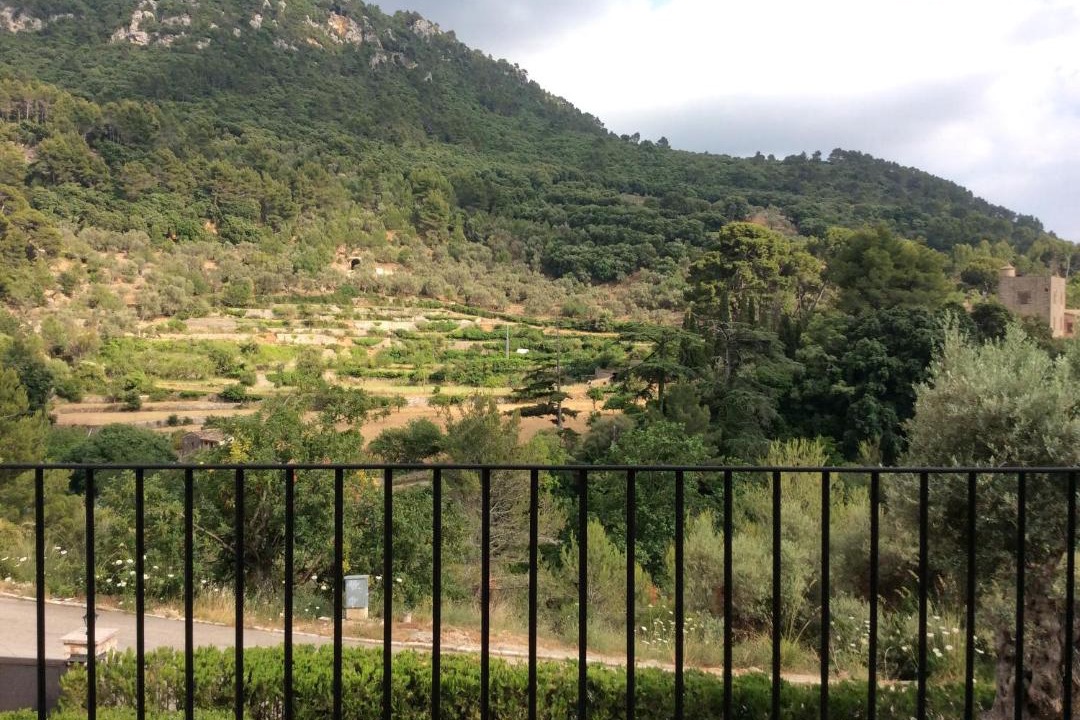 Photo of Outdoor in S'Arxiduc
