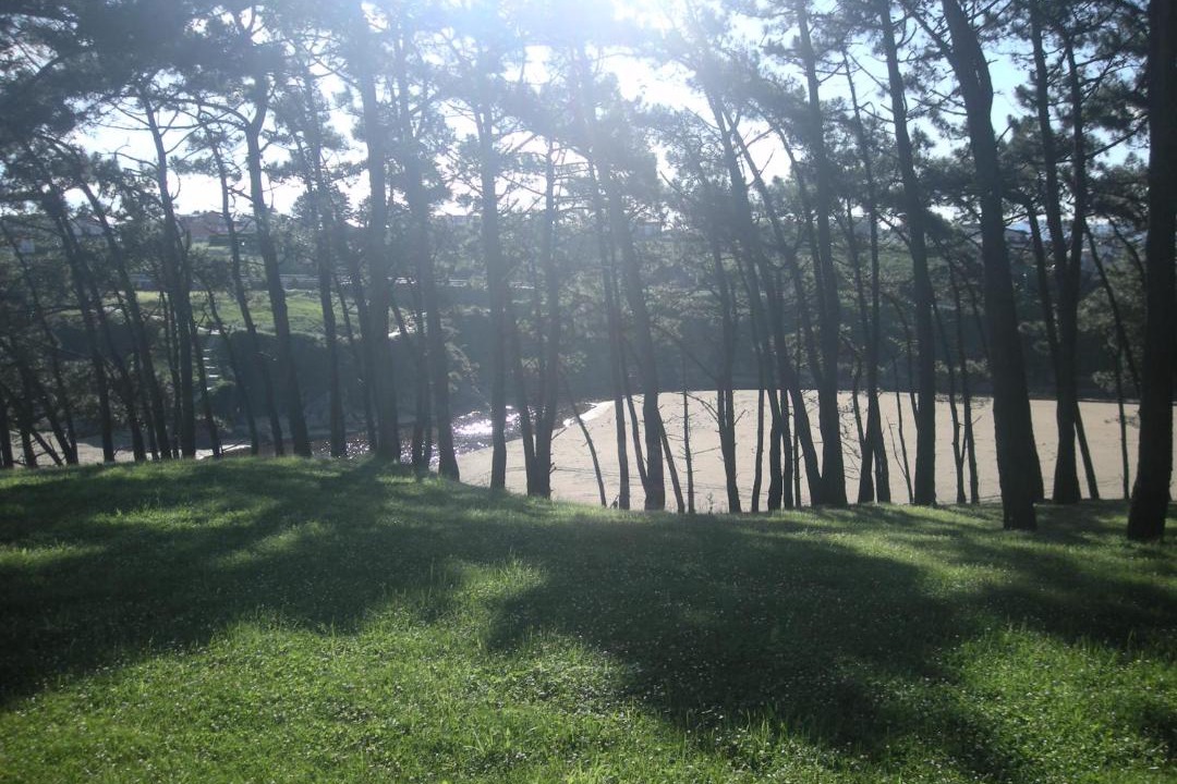 Photo of Buildings in Serantes