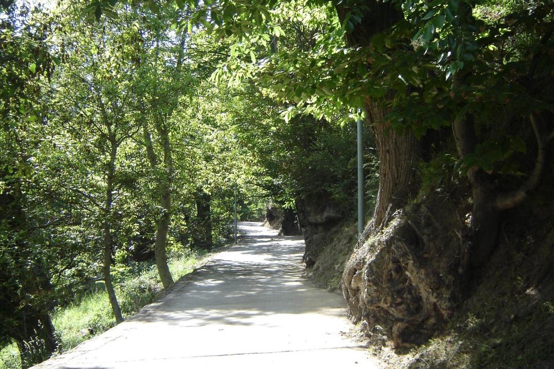 Photo of Outdoor in Odollo