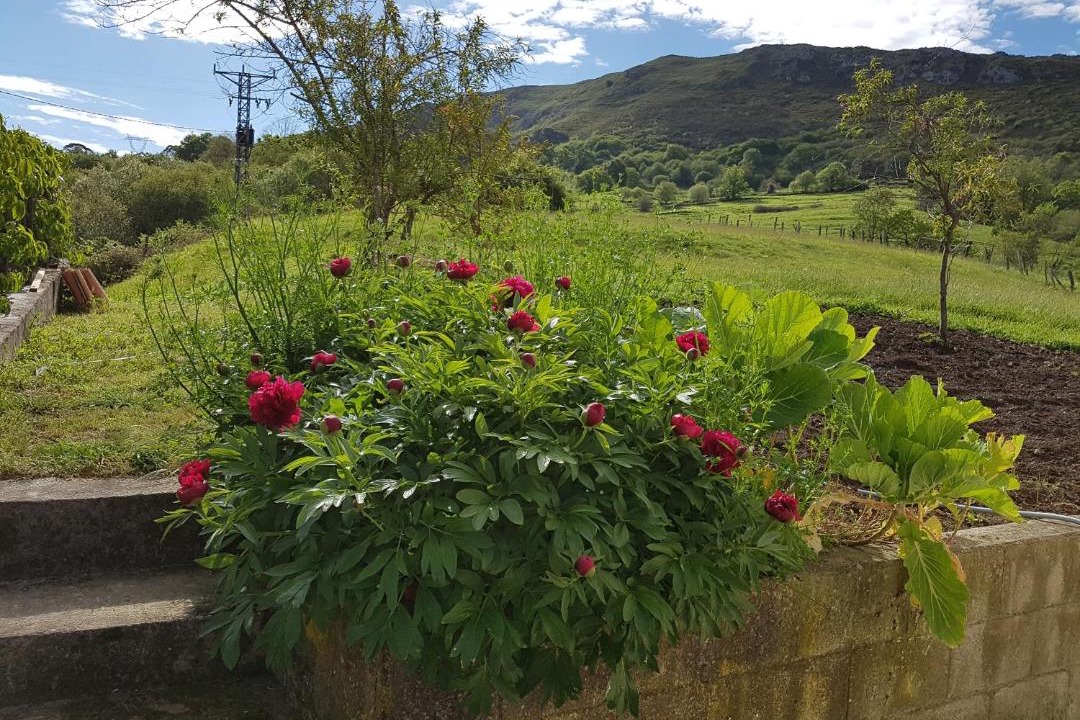 Photo of Outdoor in Penamellera Baja