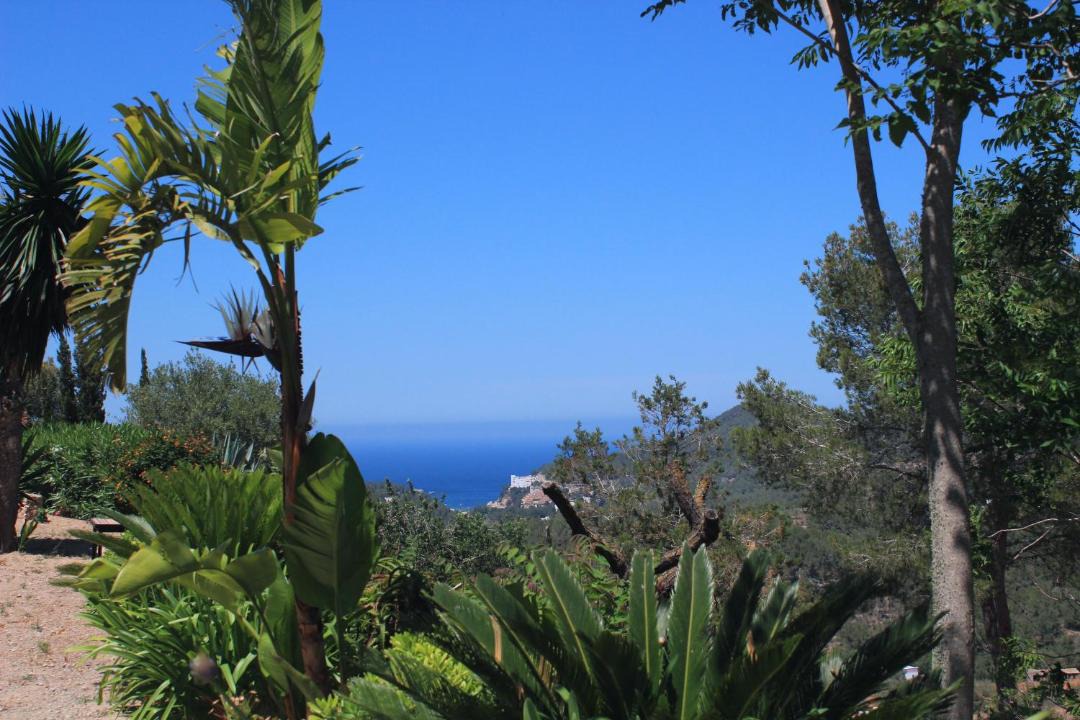 Photo of Others in Sant Miquel de Balasant