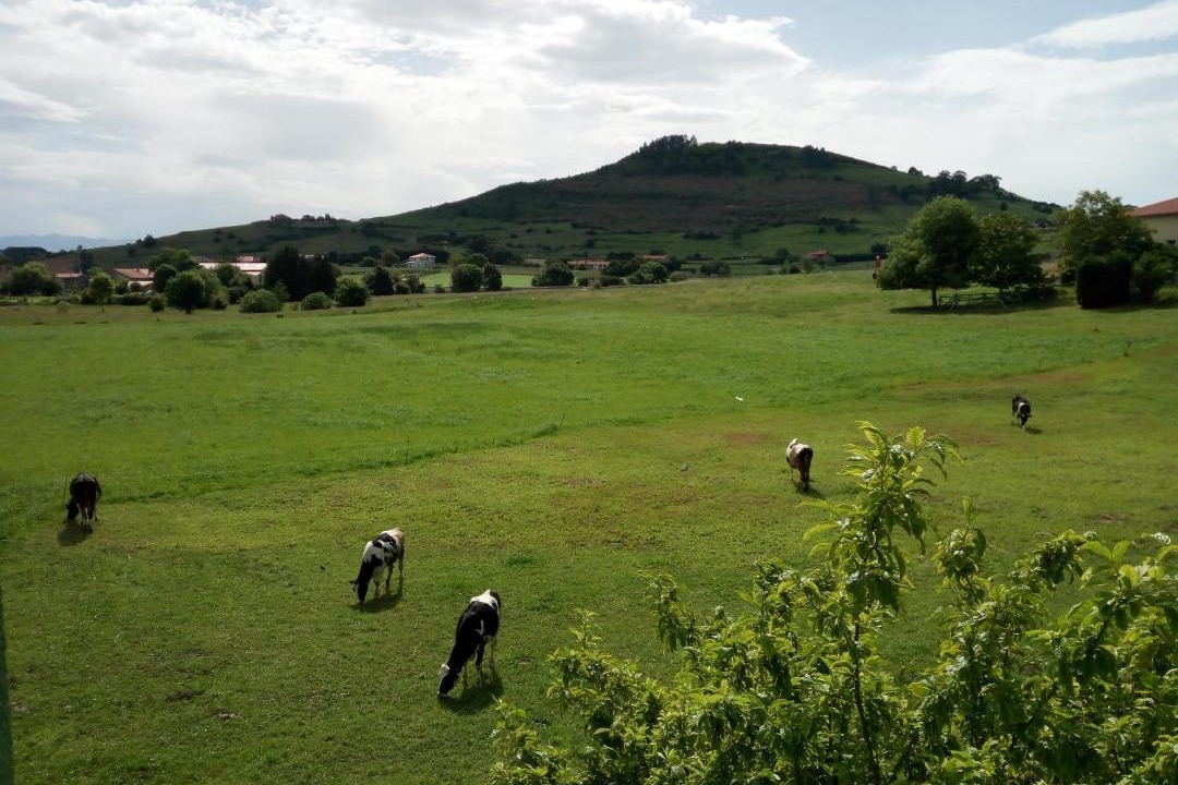 Photo of Others in Queveda