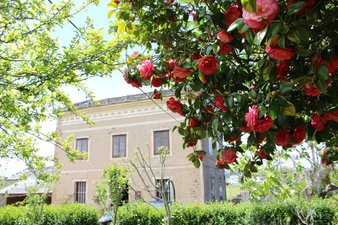 Photo of Buildings in Figueras (Castropol)