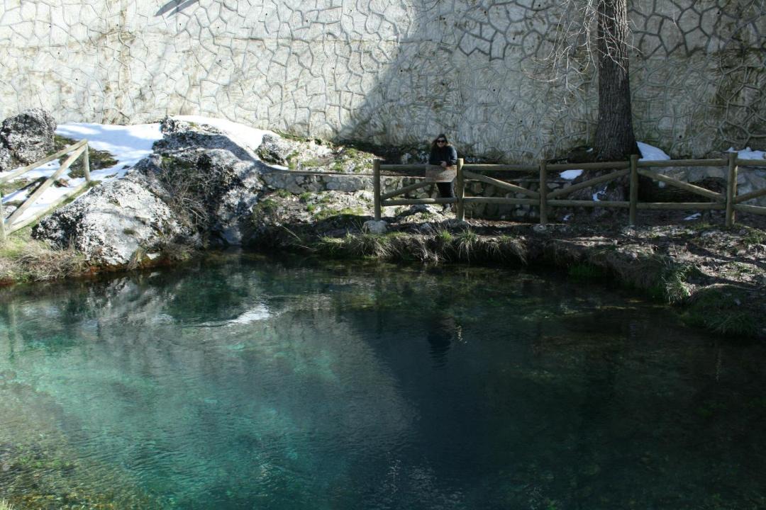 Photo of Others in Coto Rios