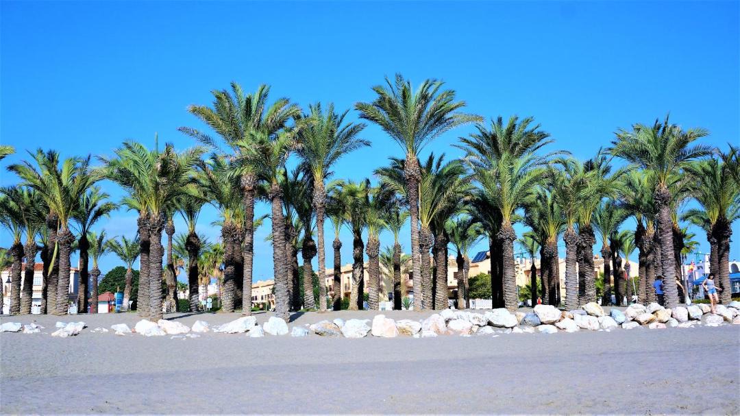 Photo of Others in Torremolinos