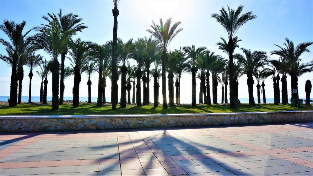 Photo of Outdoor in Torremolinos