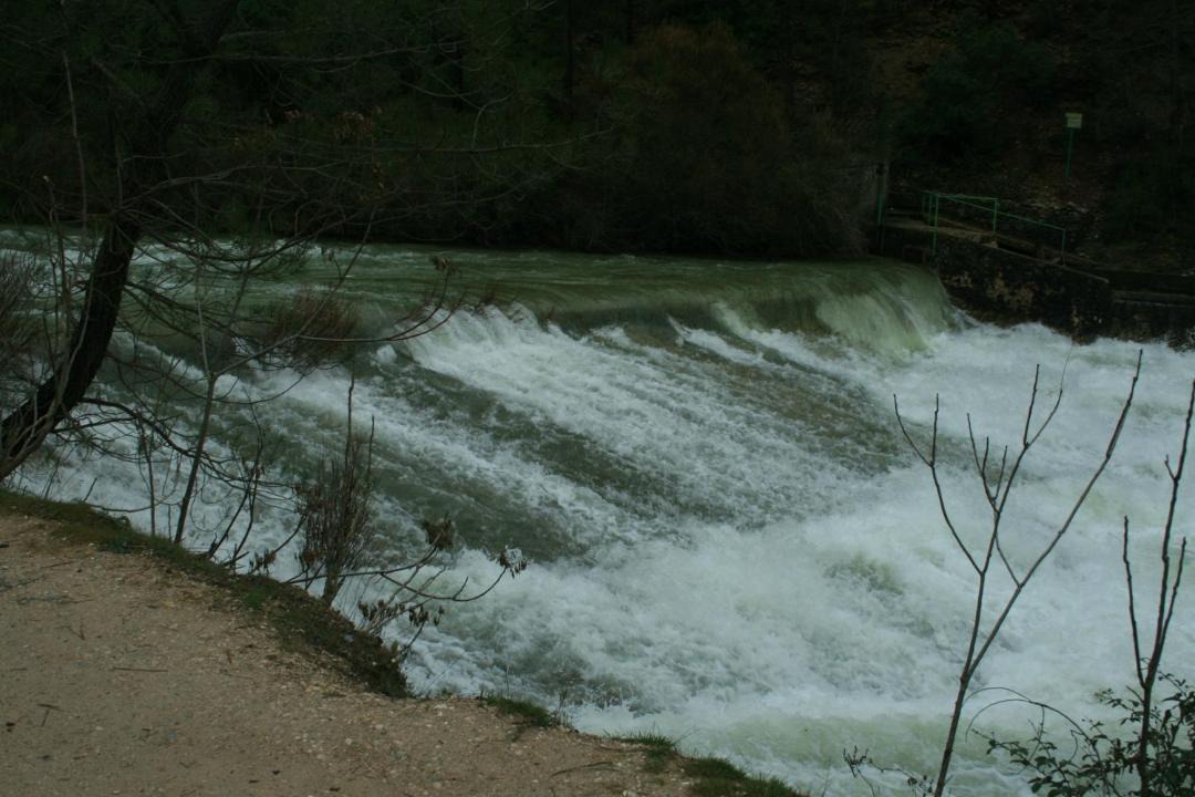 Photo of Others in Coto Rios
