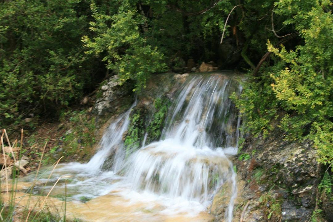 Photo of Others in Coto Rios