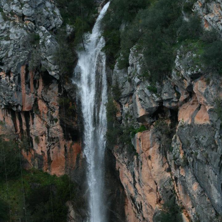 Photo of Others in Coto Rios