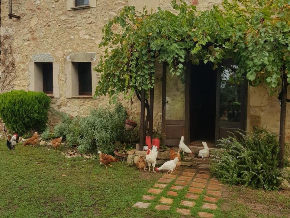 Photo of Others in Santa Coloma de Farners