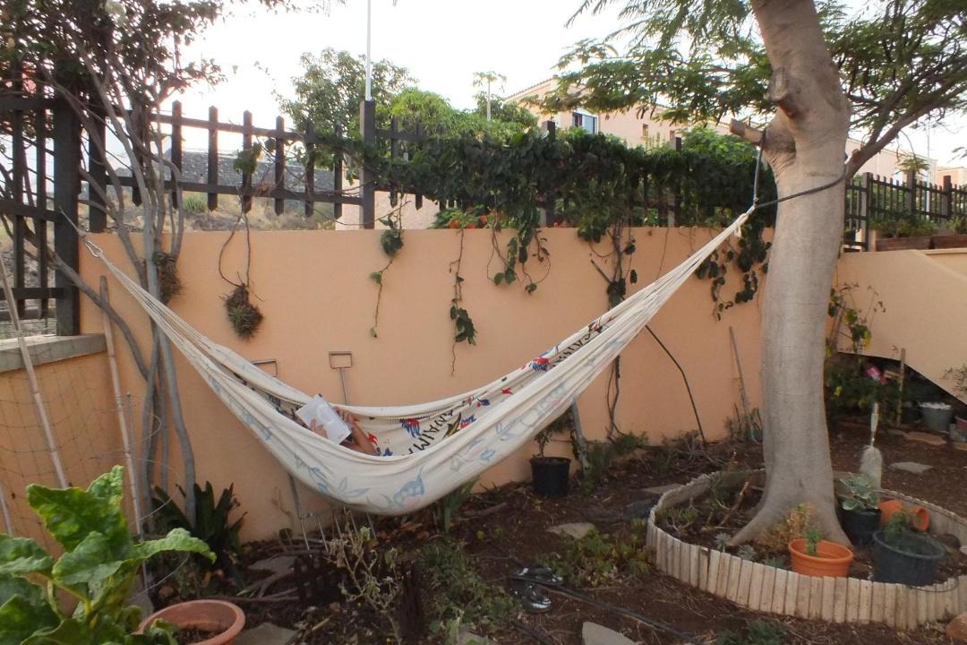Photo of Others in El Rosario
