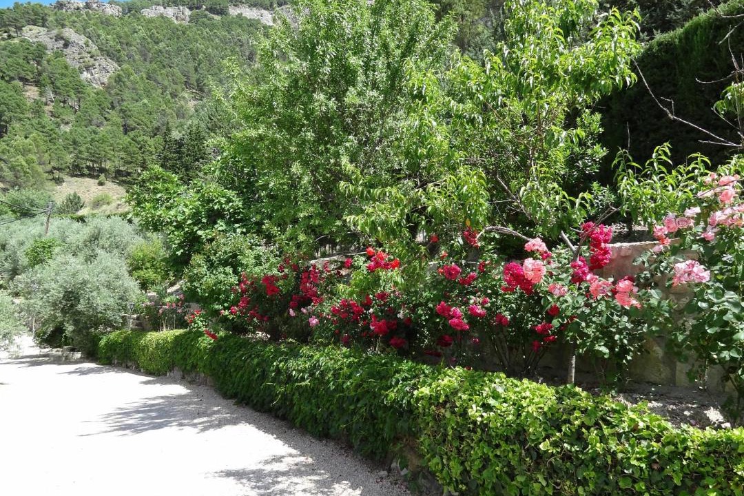 Photo of Others in La Iruela
