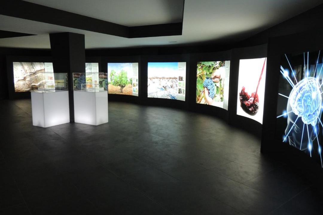 Photo of Others in Pedrosa de Duero