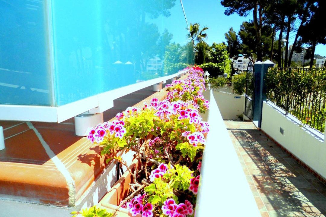 Photo of Patio Balcony in Peguera