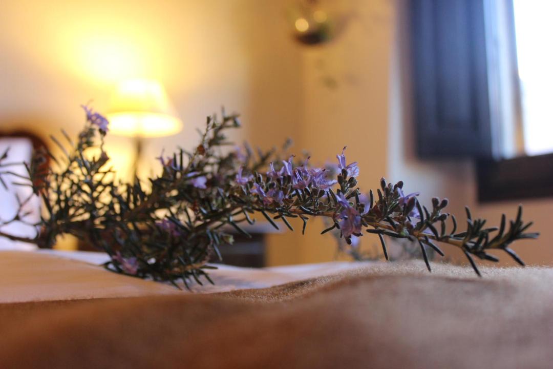 Photo of Bedroom in Sant Esteve de Palautordera