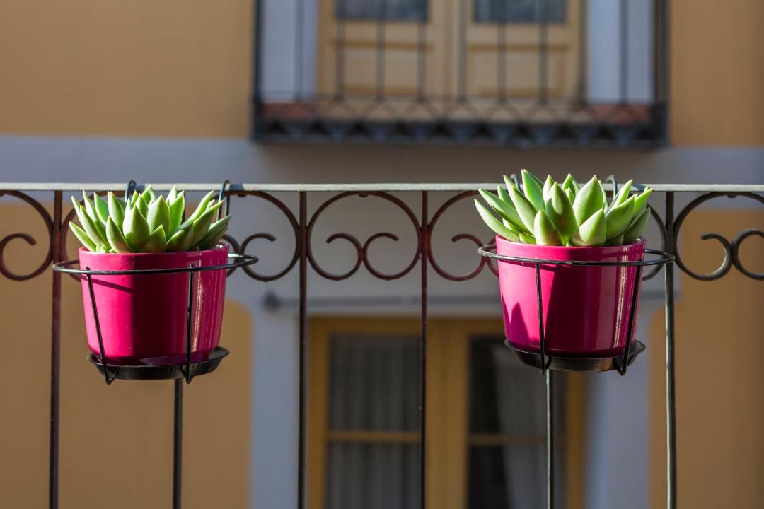 Photo of Others in Logrono Historic Centre