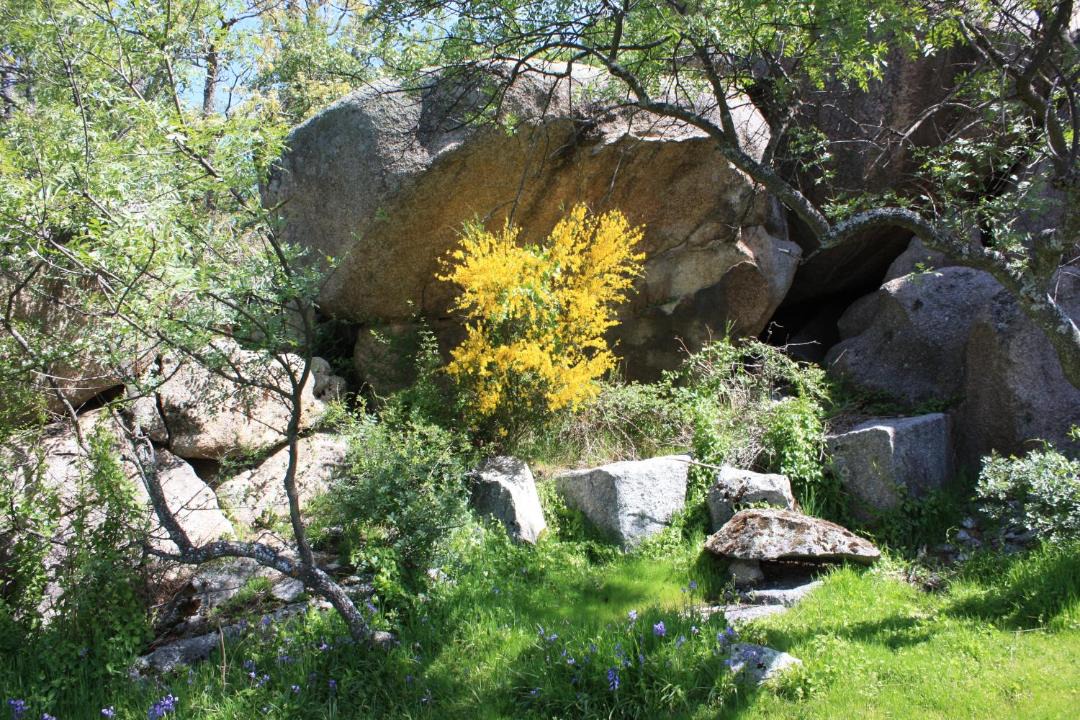 Photo of Outdoor in Ortigosa del Monte