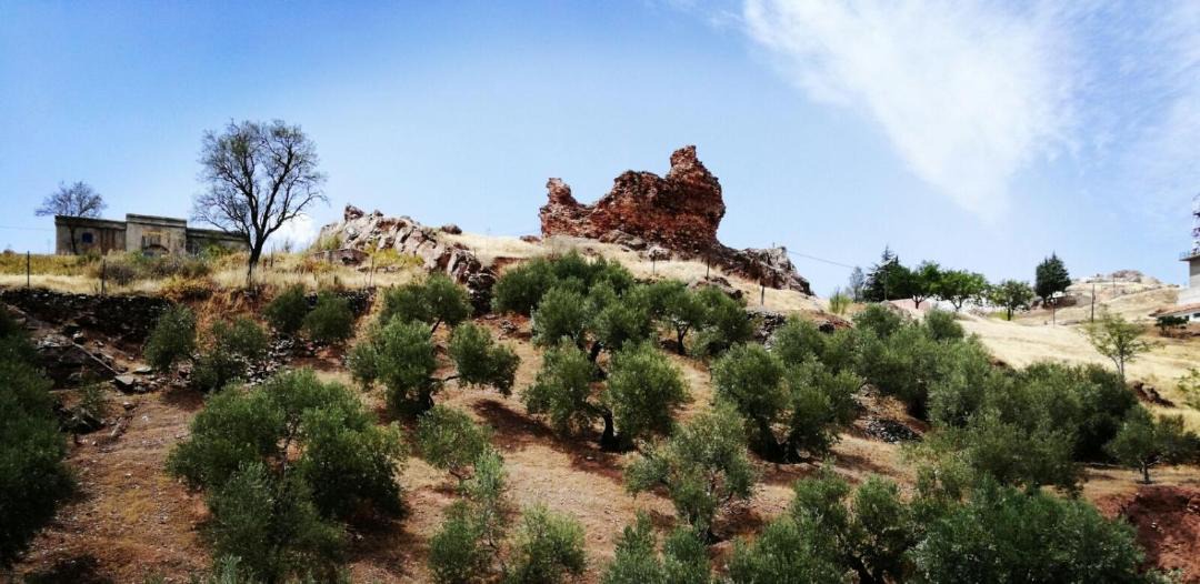 Photo of Others in Alcaraz