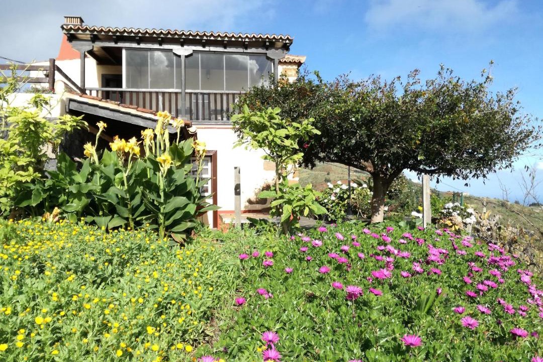 Photo of Buildings in Barlovento