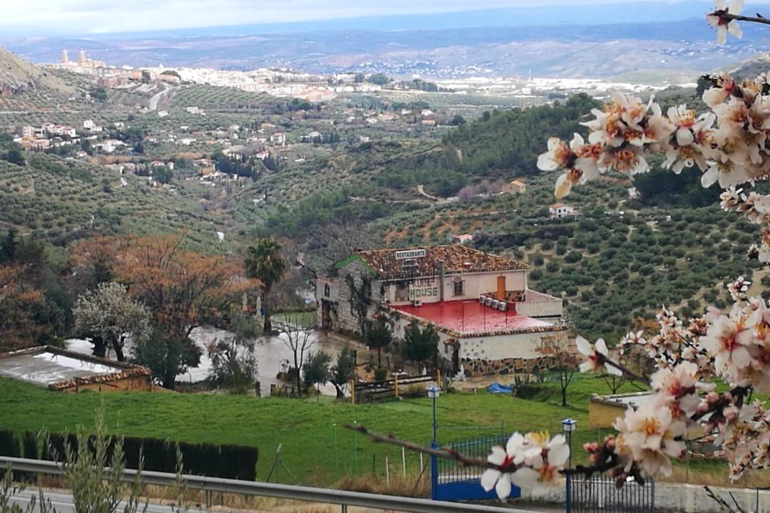 Photo of Others in Jaen
