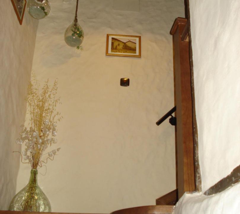 Photo of Others in Mogarraz