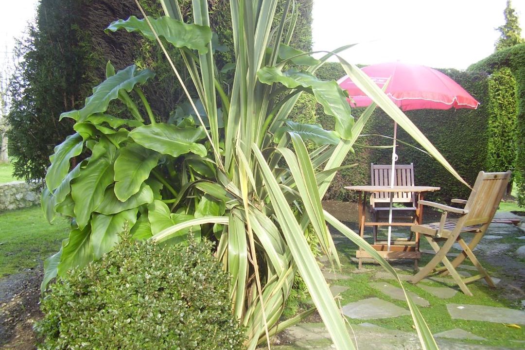 Photo of Others in Queveda