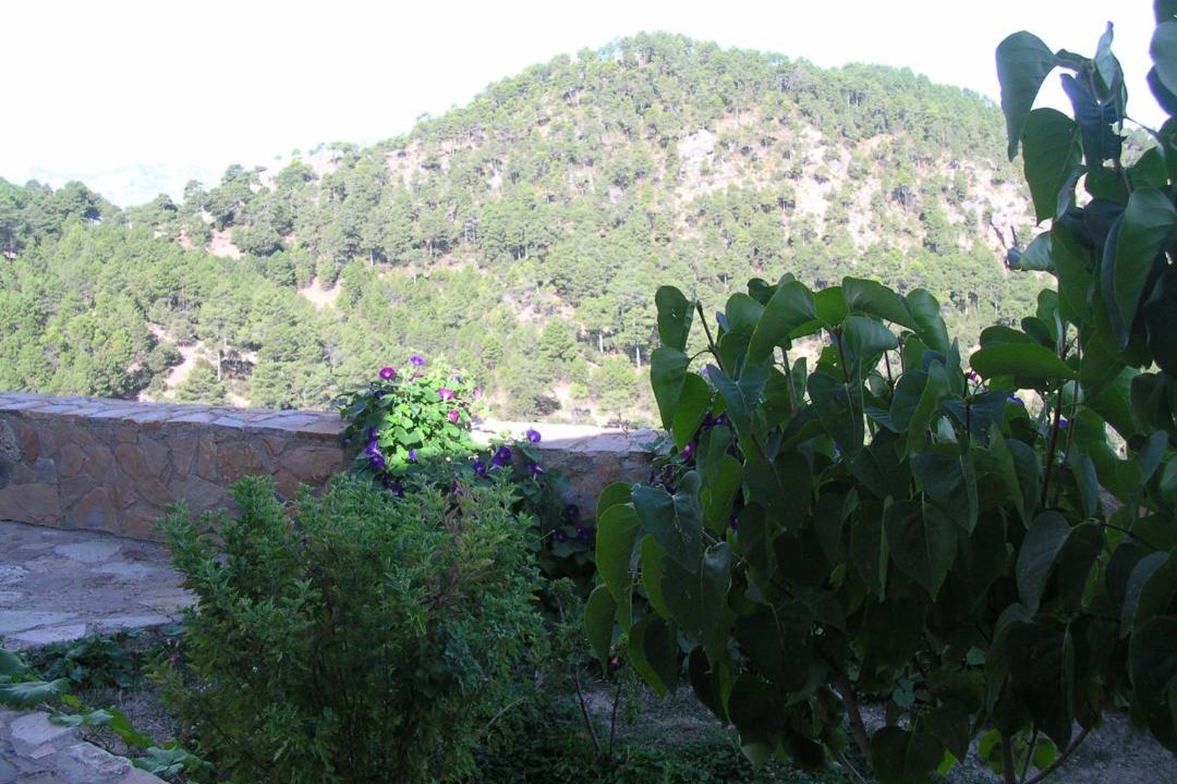 Photo of Others in Santiago-Pontones