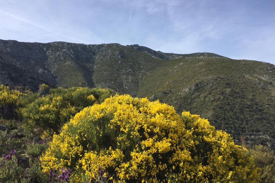 Photo of Outdoor in Guijo de Santa Barbara