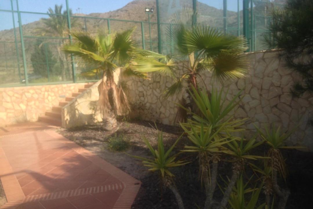 Photo of Outdoor in Aguilas