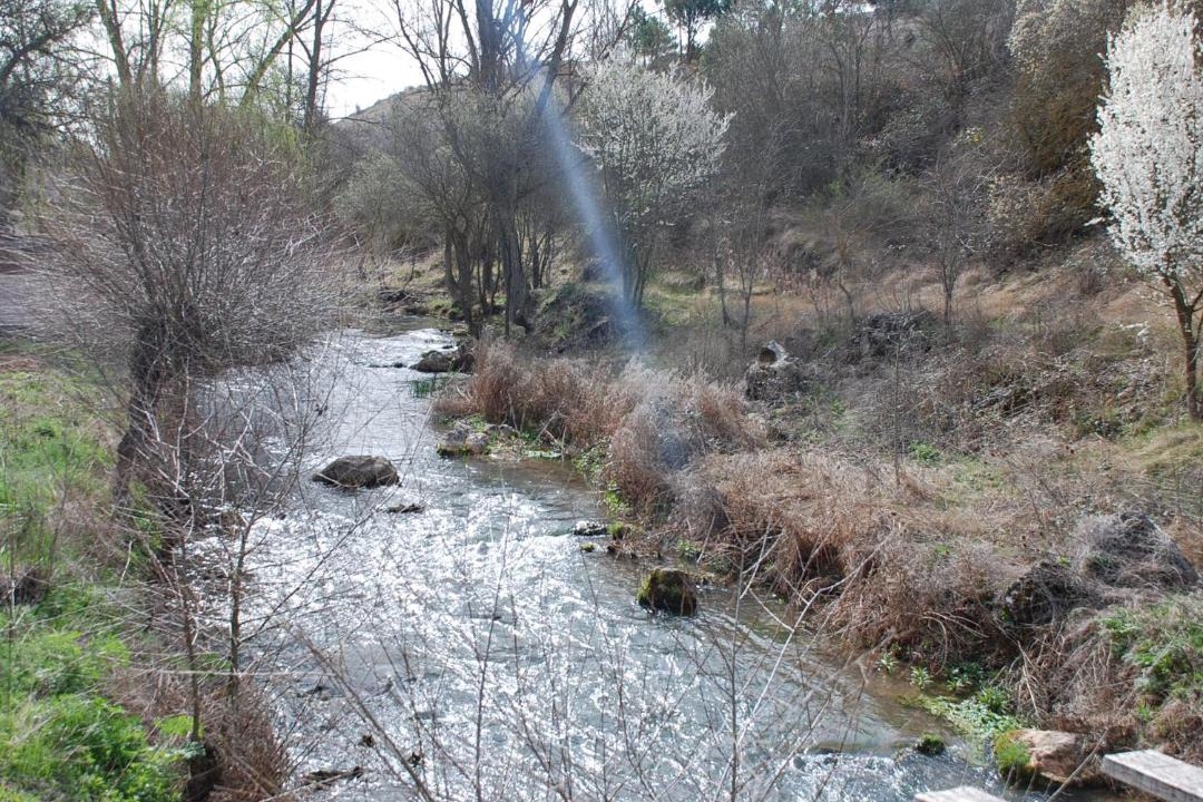 Photo of Others in Molina de Aragon