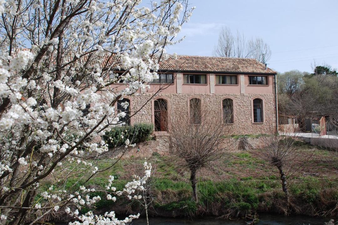 Photo of Others in Molina de Aragon