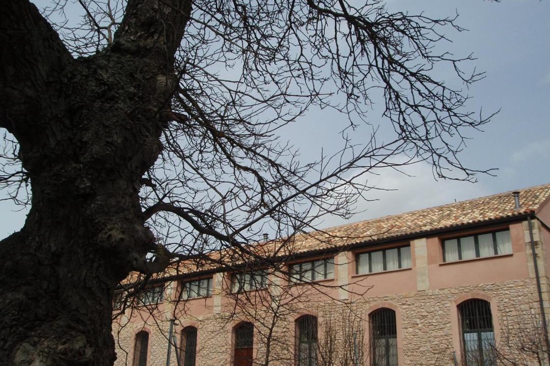 Photo of Others in Molina de Aragon