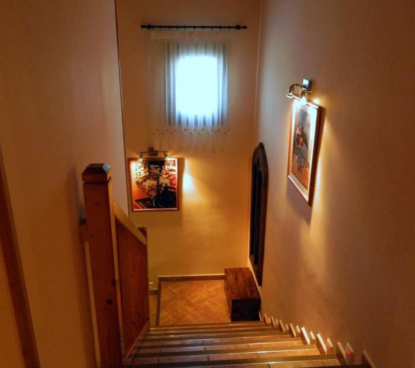 Photo of Others in Noceda