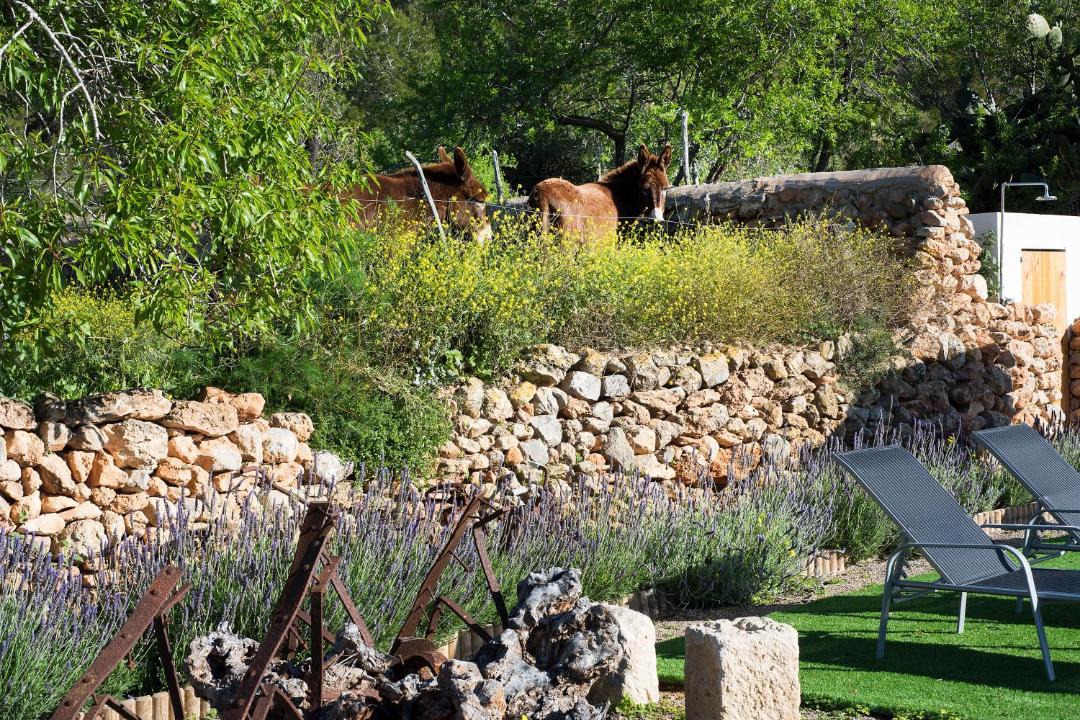 Photo of Others in Sant Josep de sa Talaia