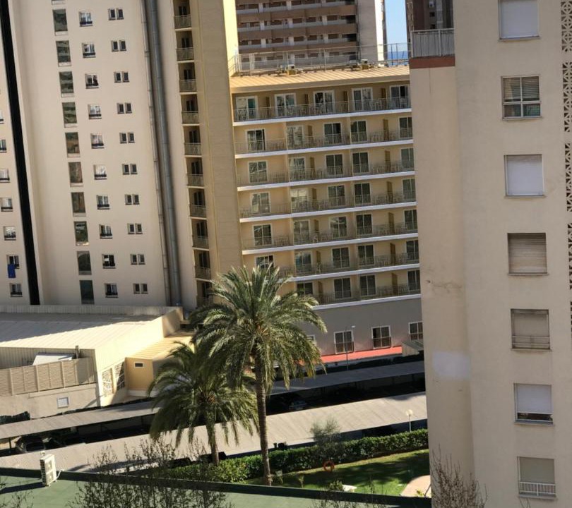 Photo of Buildings in Benidorm