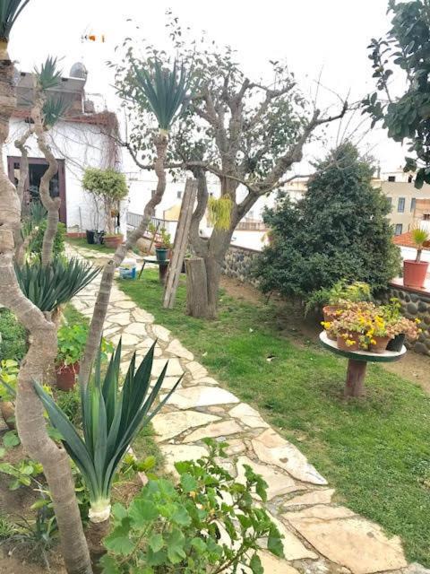 Photo of Others in Canet de Mar