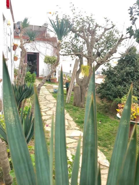 Photo of Others in Canet de Mar