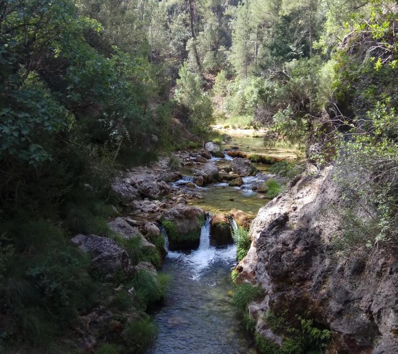 Photo of Others in Hornos