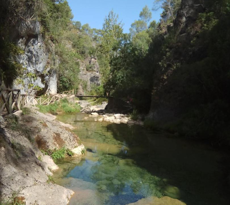 Photo of Others in Hornos