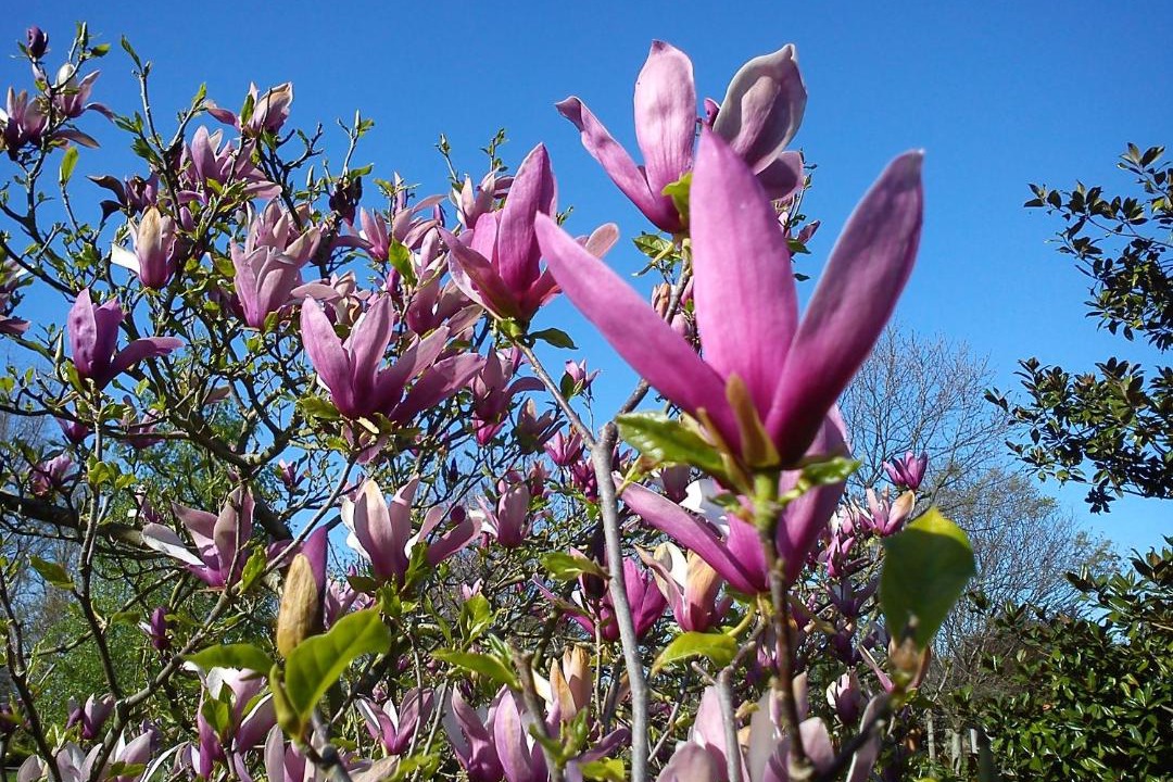 Photo of Outdoor in Carrejo
