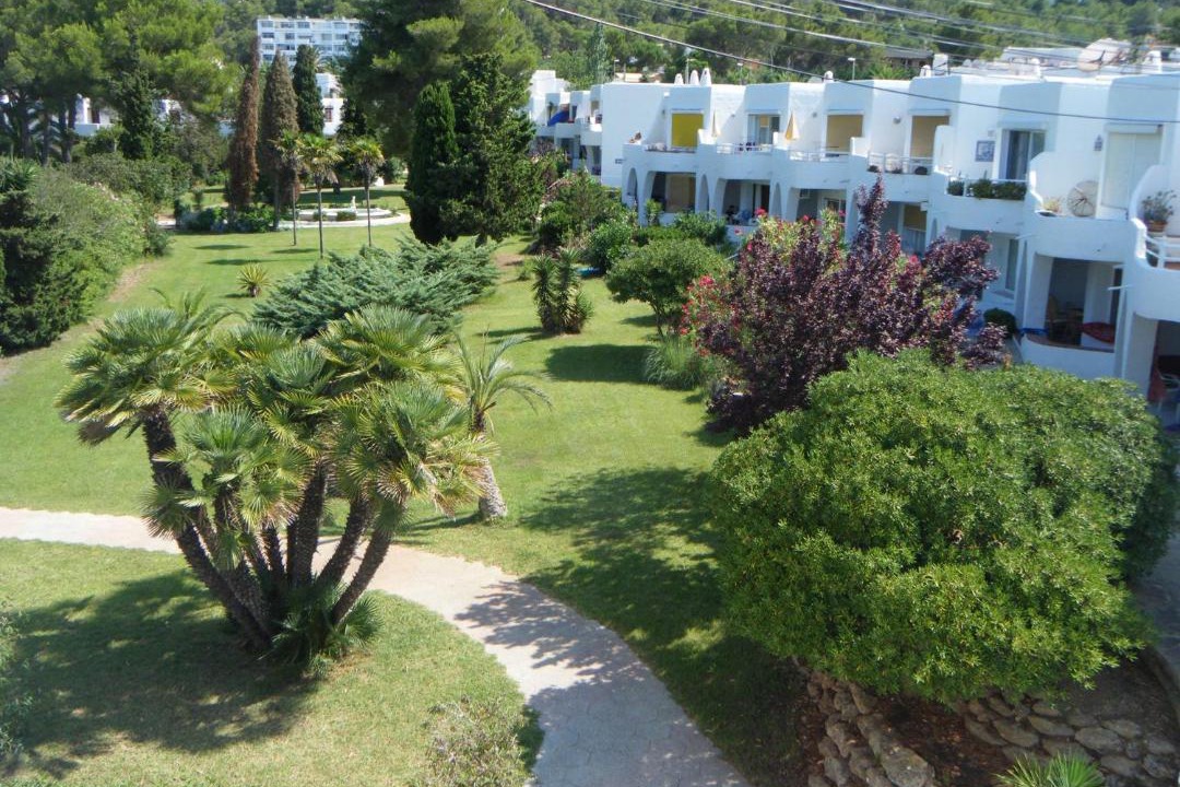 Photo of Others in Siesta