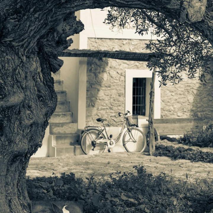 Photo of Buildings in Sant Francesc Xavier