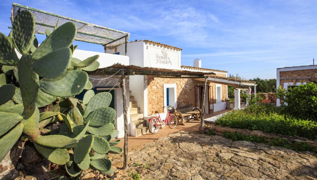 Photo of Buildings in Sant Francesc Xavier